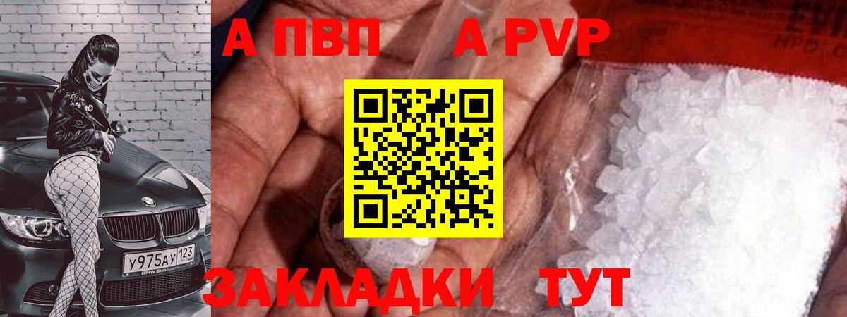 APVP СК Новозыбков