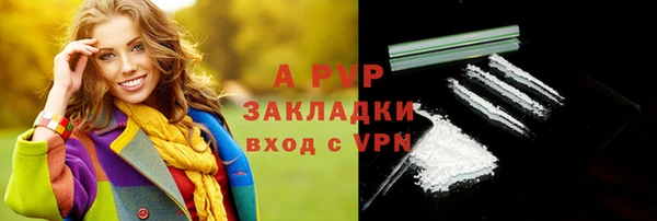 apvp Алзамай