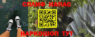хмурый Гусь-Хрустальный