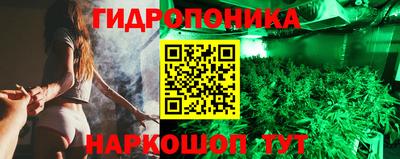 альфа пвп Гусев