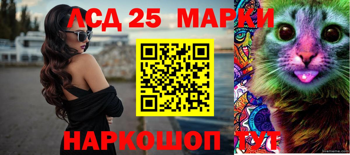 Новозыбков  LSD-25 экстази ecstasy  Вход с VPN  ЛСД экстази ecstasy 