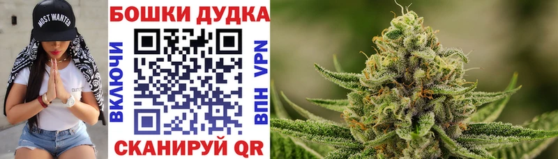 Бошки марихуана Amnesia  Новозыбков 