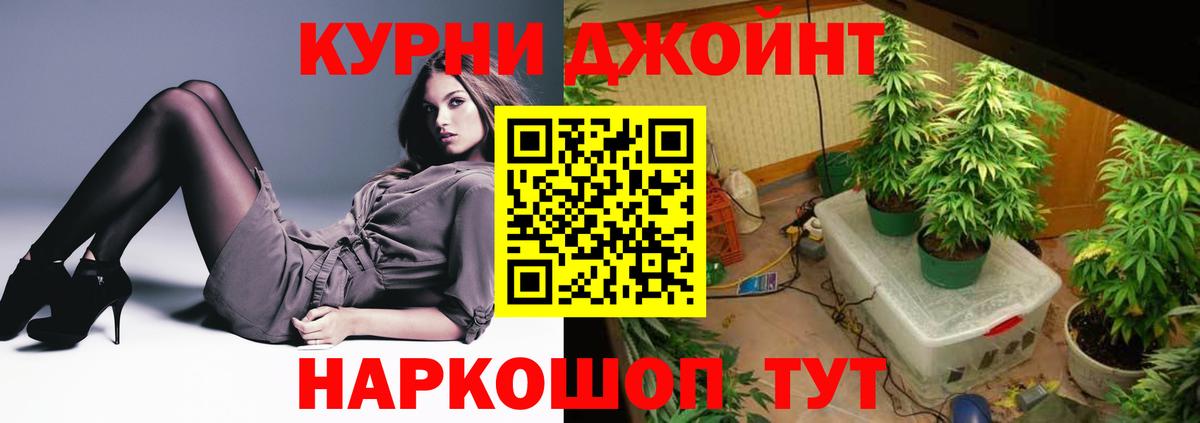 Бошки марихуана White Widow Новозыбков